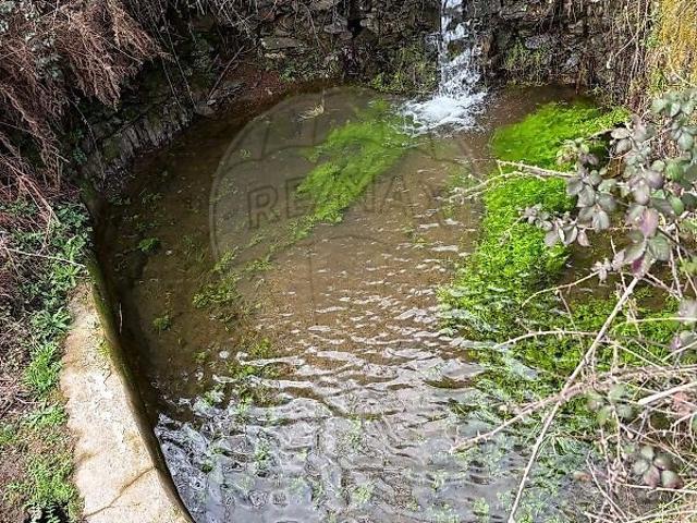 Terreno venda em Casegas, Covilhã