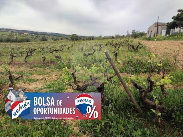 Terreno venda em Casével e Vaqueiros, Santarém