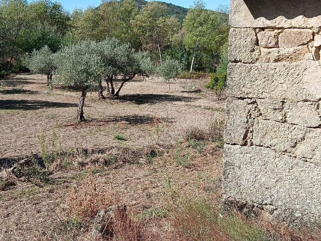Terreno venda em Casteleiro, Guarda