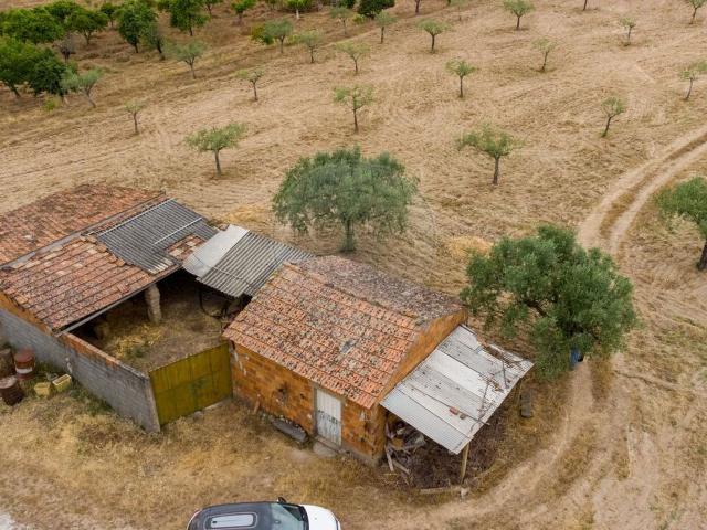 Terreno venda em Castelo Branco