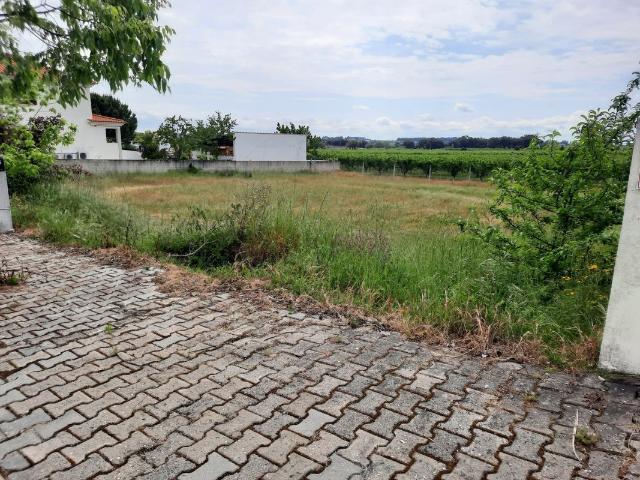 Terreno venda em Castelo Branco