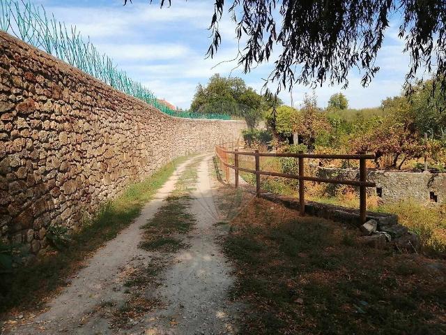 Terreno venda em Castelo Branco