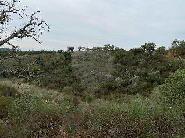 Terreno venda em Castelo Branco