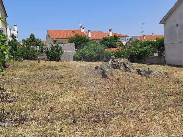 Terreno venda em Castelo Branco