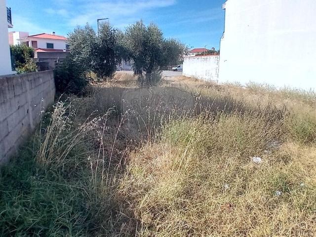 Terreno venda em Alcains, Castelo Branco