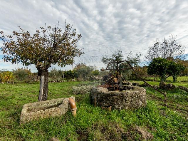 Terreno venda em Castelo Branco