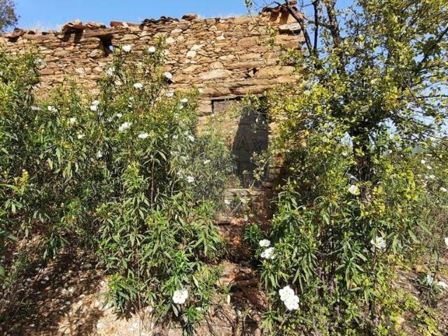 Terreno venda em Castelo Branco