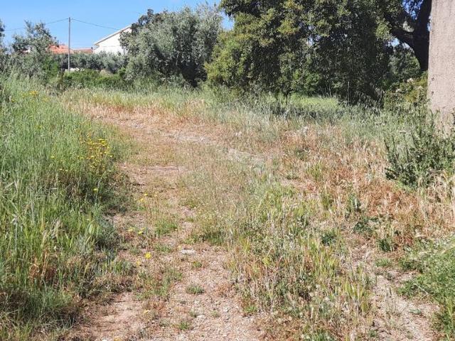 Terreno venda em Castelo Branco