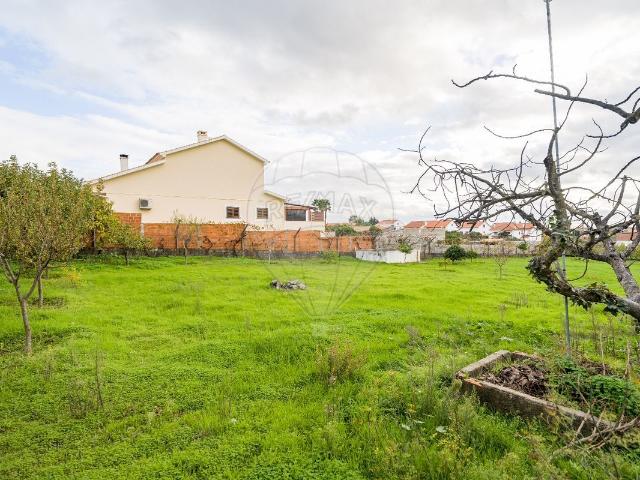 Terreno venda em Castelo Branco