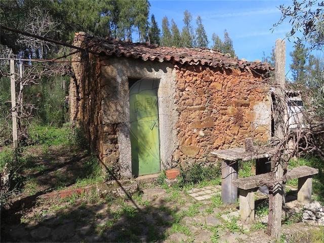 Quinta venda em Castelo Branco