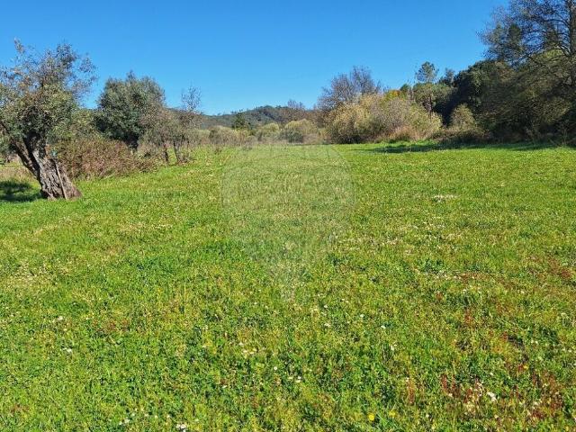 Terreno venda em Freixial do Campo e Juncal do Campo, Castelo Branco