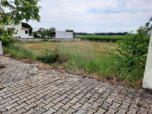 Terreno venda em Castelo Branco