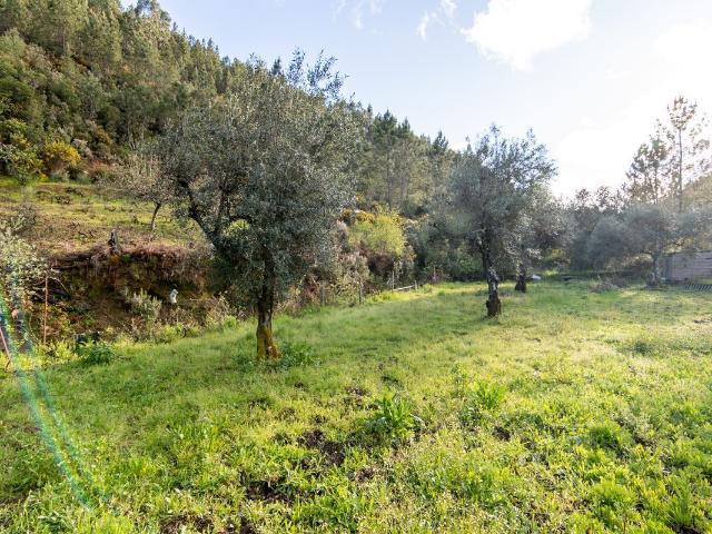 Terreno venda em Sarzedas, Castelo Branco
