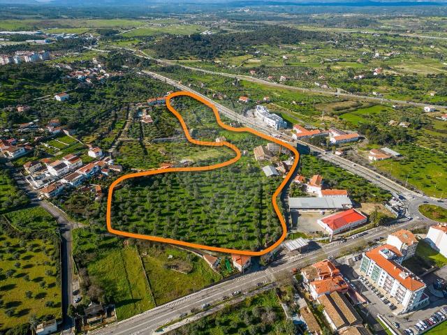 Quinta venda em Castelo Branco