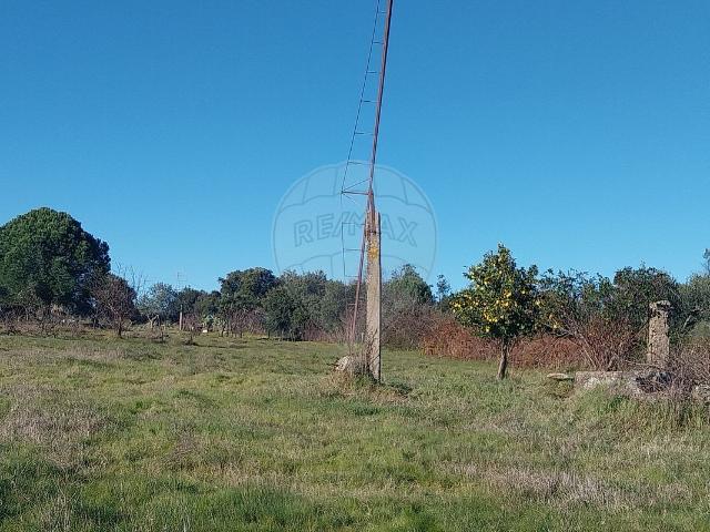 Terreno venda em Castelo Branco