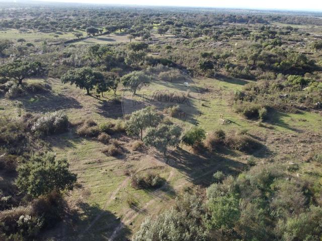 Terreno venda em Castelo De Vide, Portalegre