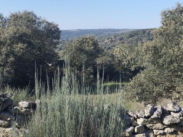 Terreno venda em Castelo Mendo, Ade, Monteperobolso e Mesquitela, Almeida