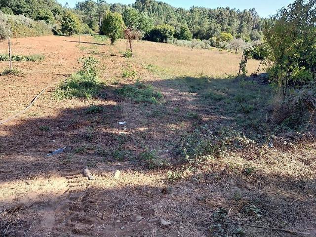 Terreno venda em Castelo, Sertã