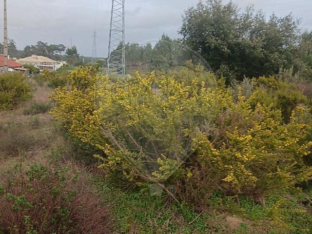 Terreno venda em Castelo, Sesimbra