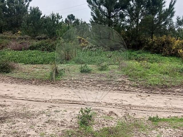 Terreno venda em Castelo, Sesimbra
