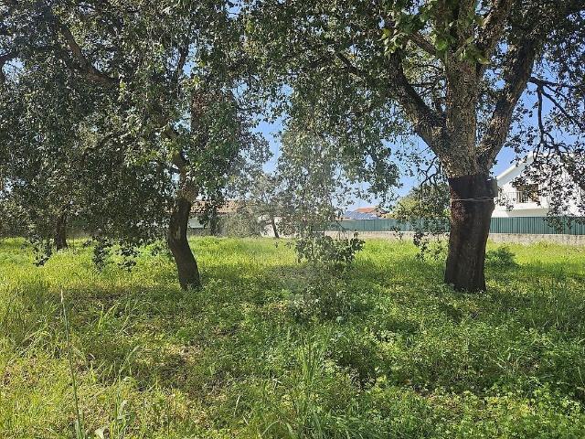 Terreno venda em Castelo, Sesimbra