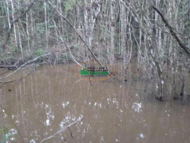 Terreno venda em Entre Rios de Minas, Região Geográfica Intermediária de Juiz de Fora