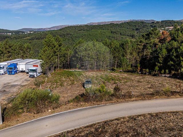 Terreno venda em Farejinhas, Castro Daire