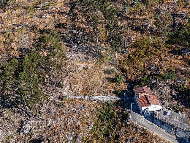 Terreno venda em Castro Daire, Viseu