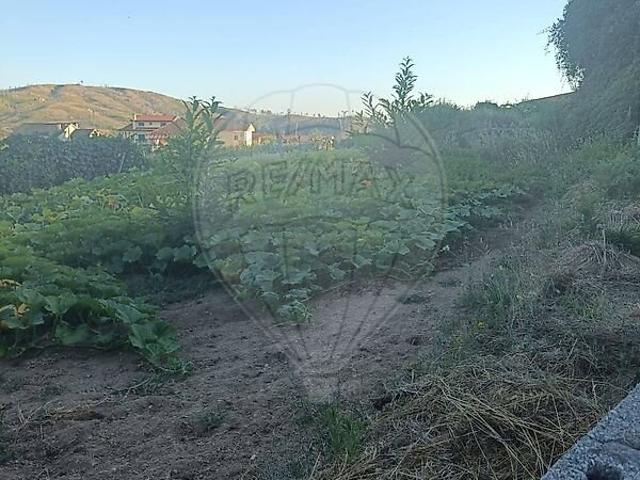 Terreno venda em Castro Daire