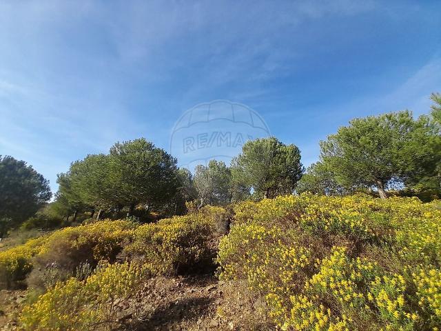 Terreno venda em Brenhosa, Castro Marim
