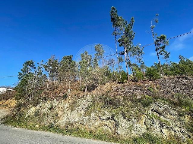 Terreno venda em Mundão, Viseu