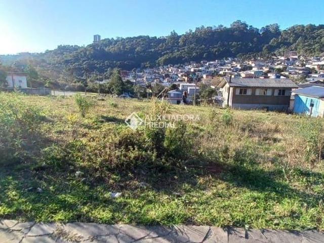 Terreno venda em Região Geográfica Imediata de Caxias do Sul, Caxias do Sul