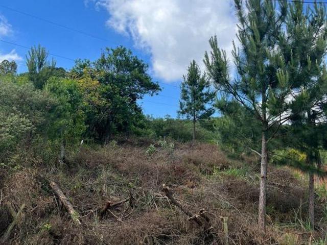 Terreno venda em Região Geográfica Imediata de Caxias do Sul, Caxias do Sul