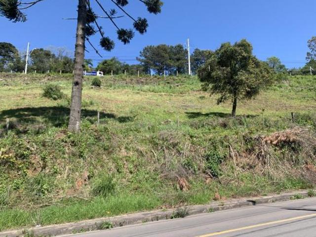 Terreno venda em Região Geográfica Imediata de Caxias do Sul, Caxias do Sul