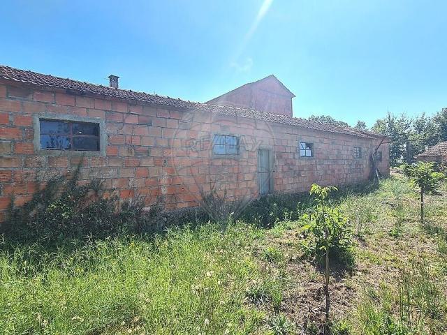 Terreno venda em Talhadas, Sever do Vouga