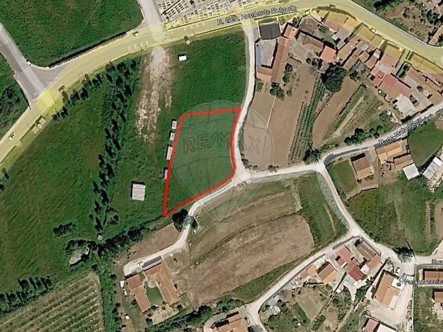 Terreno venda em Cela, Alcobaça