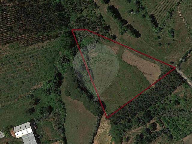 Terreno venda em Cela, Alcobaça