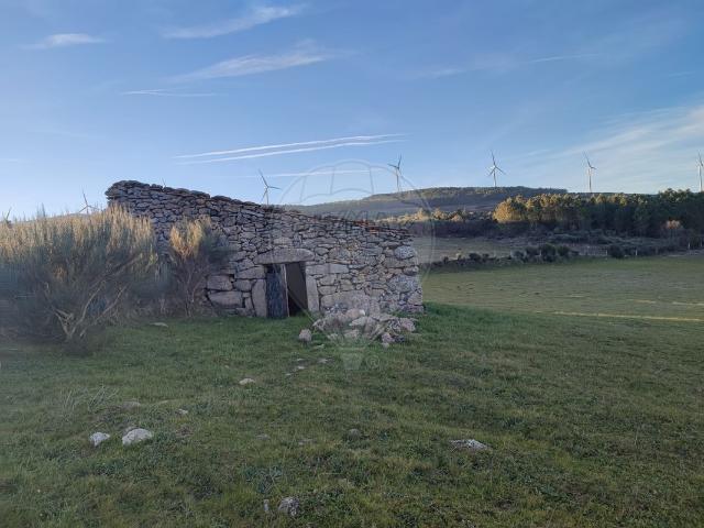 Terreno venda em Guarda, Celorico Da Beira