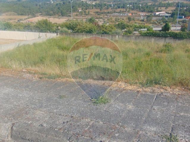 Terreno venda em Guarda, Celorico Da Beira