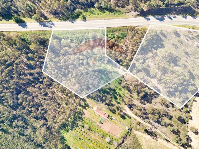 Terreno venda em Celorico De Basto, Braga