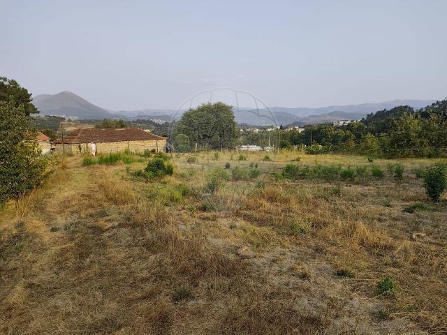 Terreno venda em Celorico De Basto, Braga