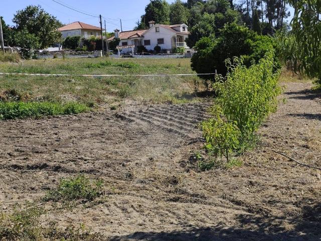Terreno venda em Celorico De Basto, Braga