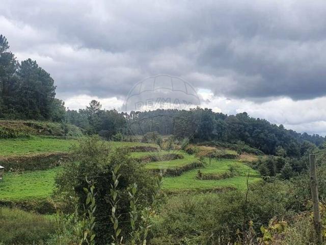Terreno venda em Celorico De Basto, Braga