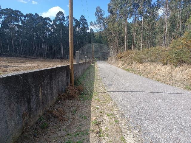 Terreno venda em Celorico De Basto, Braga