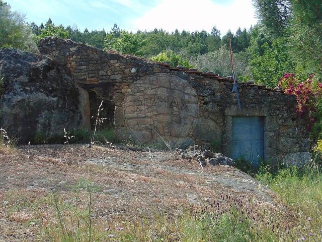 Terreno venda em Celorico (São Pedro e Santa Maria) e Vila Boa do Mondego, Celorico da Beira