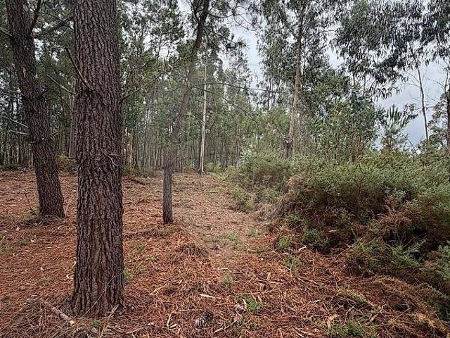 Terreno venda em Fontoura, Valença