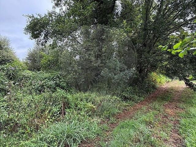 Terreno venda em Fontoura, Valença