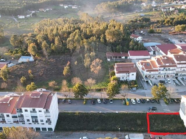 Terreno venda em Sertã