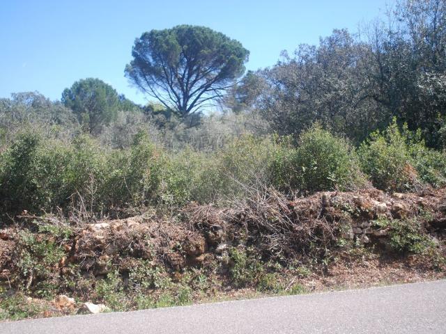 Terreno venda em Almogadel, Rego Da Murta