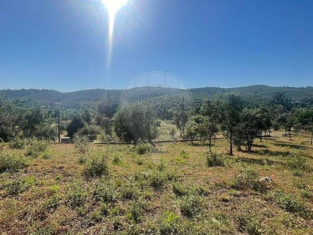 Terreno venda em Chãos, Ferreira do Zêzere
